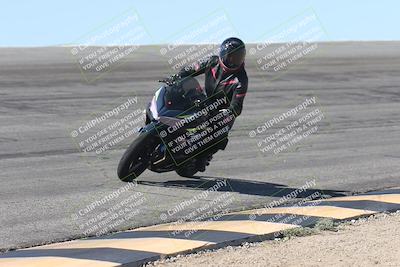 media/Oct-13-2025-Moto Forza (Mon) [[a66d839500]]/4-C Group/Session 2 (Bowl)/